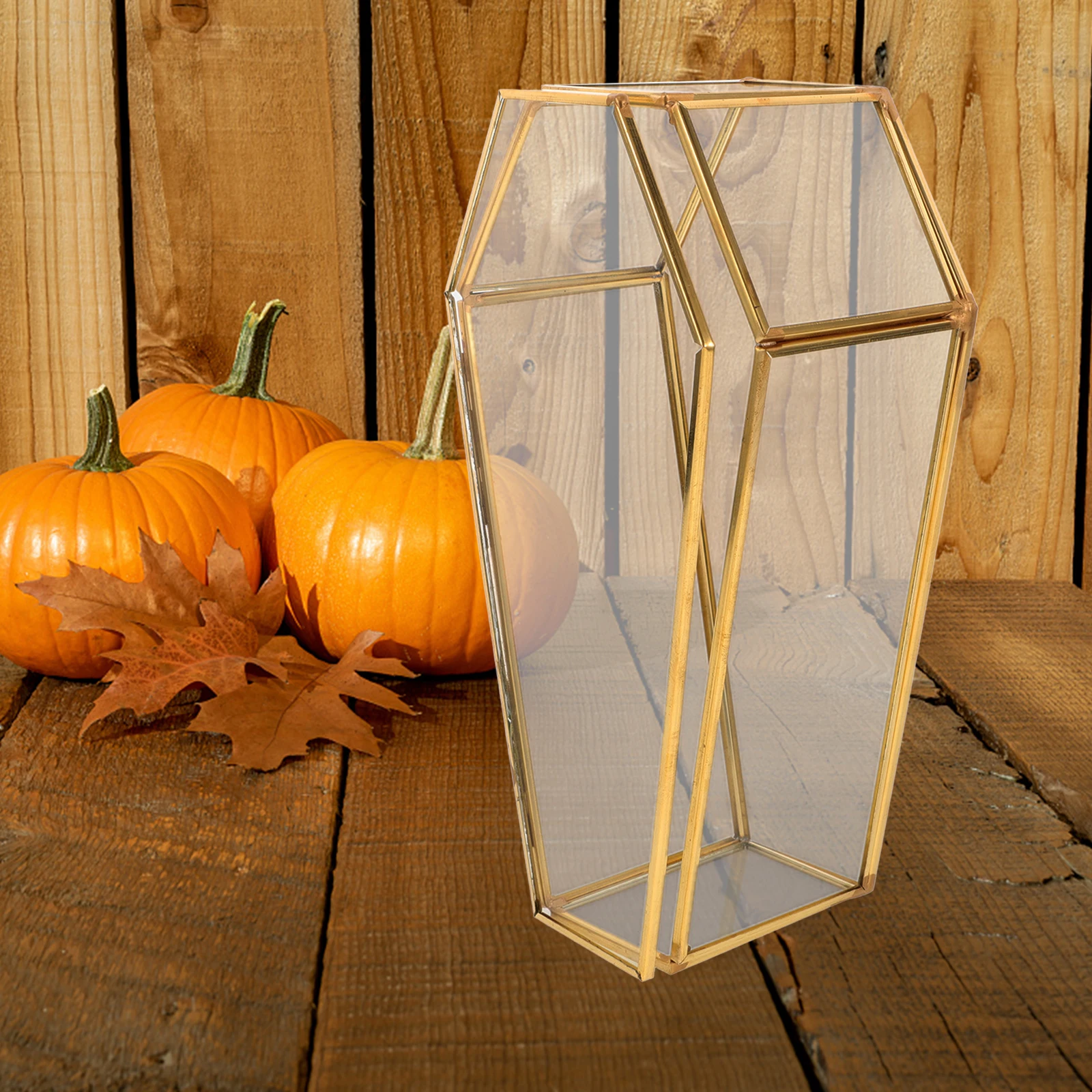 

Exquisite Mini Coffin Box Gothic Decor Glass Case Jewelry Storage Display Home Decorative Box for Keepsakes