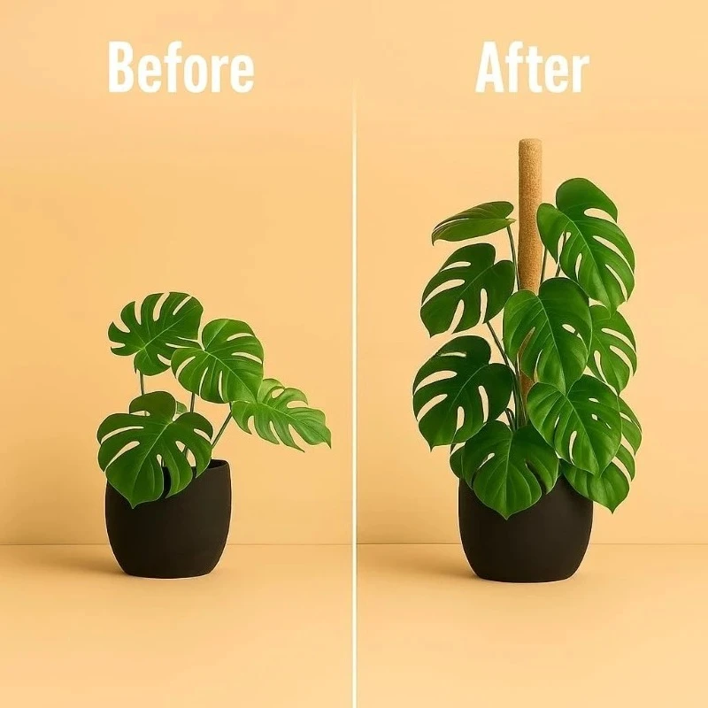 Biegbare Moosstange für Pflanzen Kokosfaser Monstera Pflanzenstütze Handgefertigte Kletterhilfe DIY Gartenzubehör – Detail 6