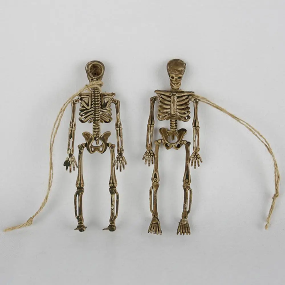 Skeleton Model Wholesale Learn Aid Anatomy art sketch Halloween Flexible Human Anatomical Anatomy bone