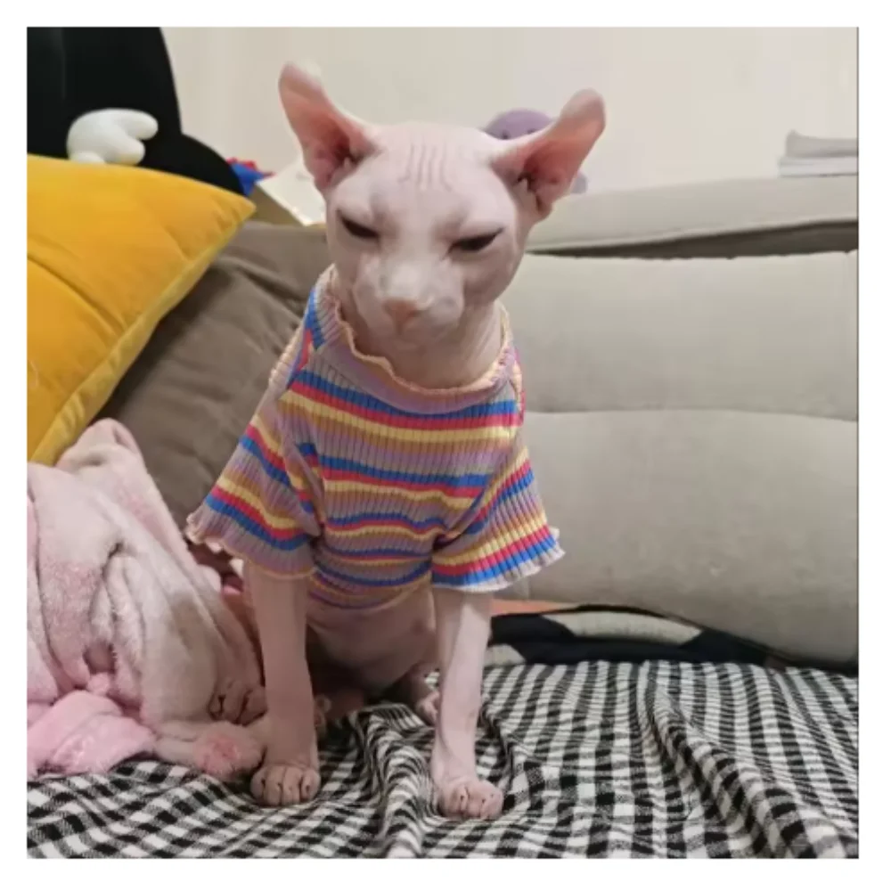 Spring Cotton Pet C…