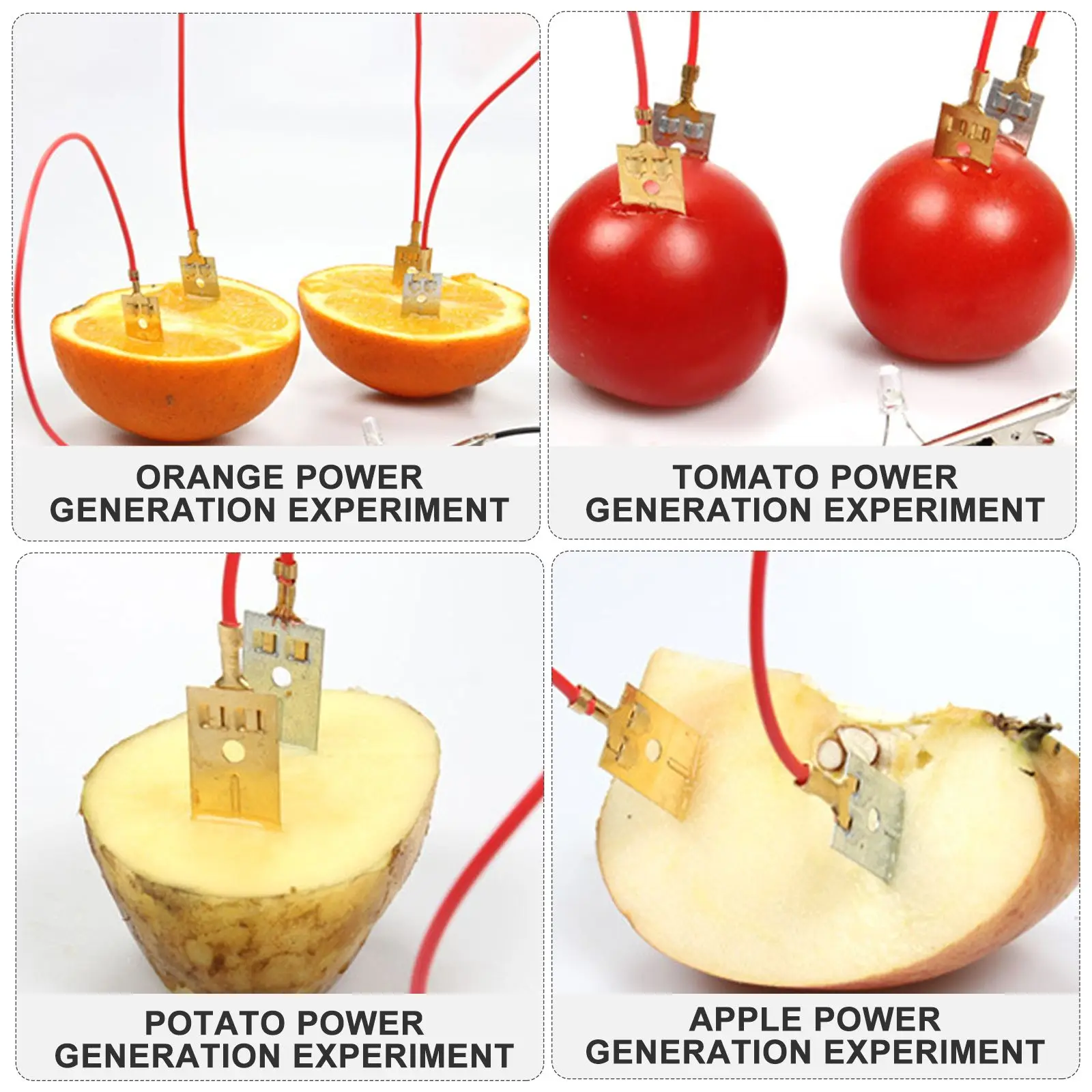 

2 Sets Copper Fruit Kits Science Experiment Toys Kids LED Watch Vegetable Power Physics Home Teaching Toy Learning