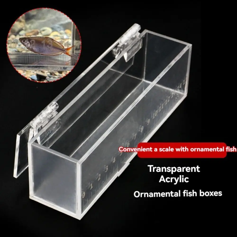

Transparent Fish Viewing Box Mini Micro Landscape Acrylic Fish Tank Broken Resistant with Lid and Scale Fish Breeding Tanks