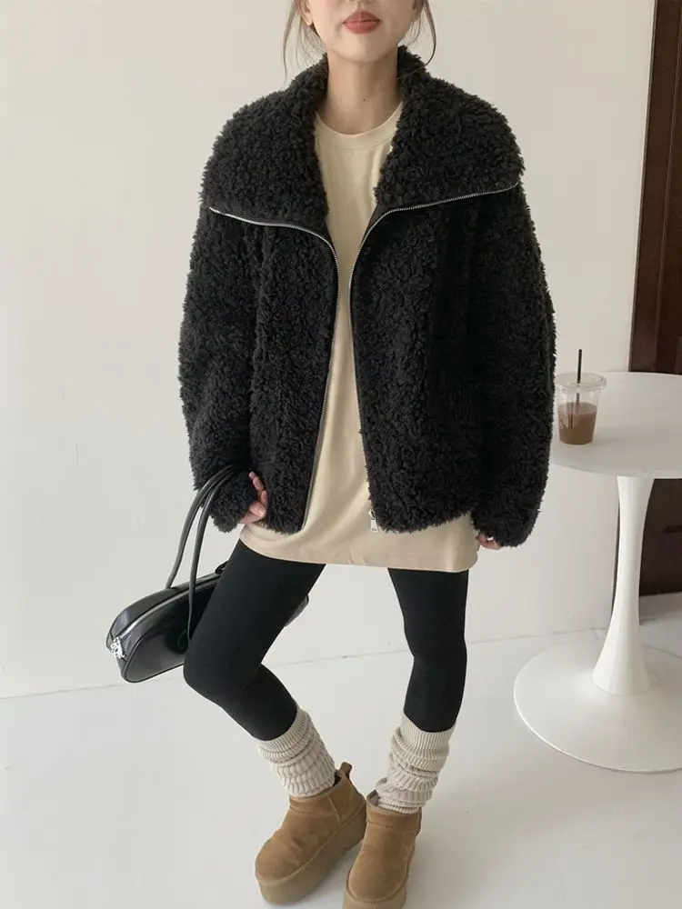 Lamb Wool Coat 2025 Autumn and Winter Loose Casual Plus Velvet Padded Women's Mao Mao Coat