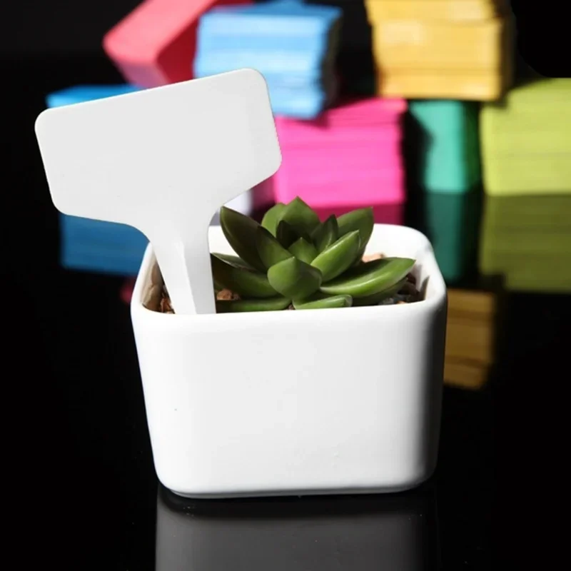 20pcs Garden Plant Labels Plastic Plant T-type Tags Marker 60*100mm Flower Seedling Potted Bonsai Succulent Garden Label White