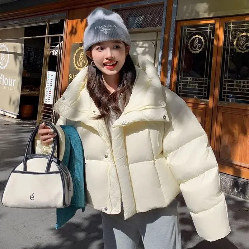 Winter Women Thick Warm Down Cotton Jacket Fluffy Parkas Black Long Sleeve Chic Coat Zipper Short Tops Streetwear Winter Jacket