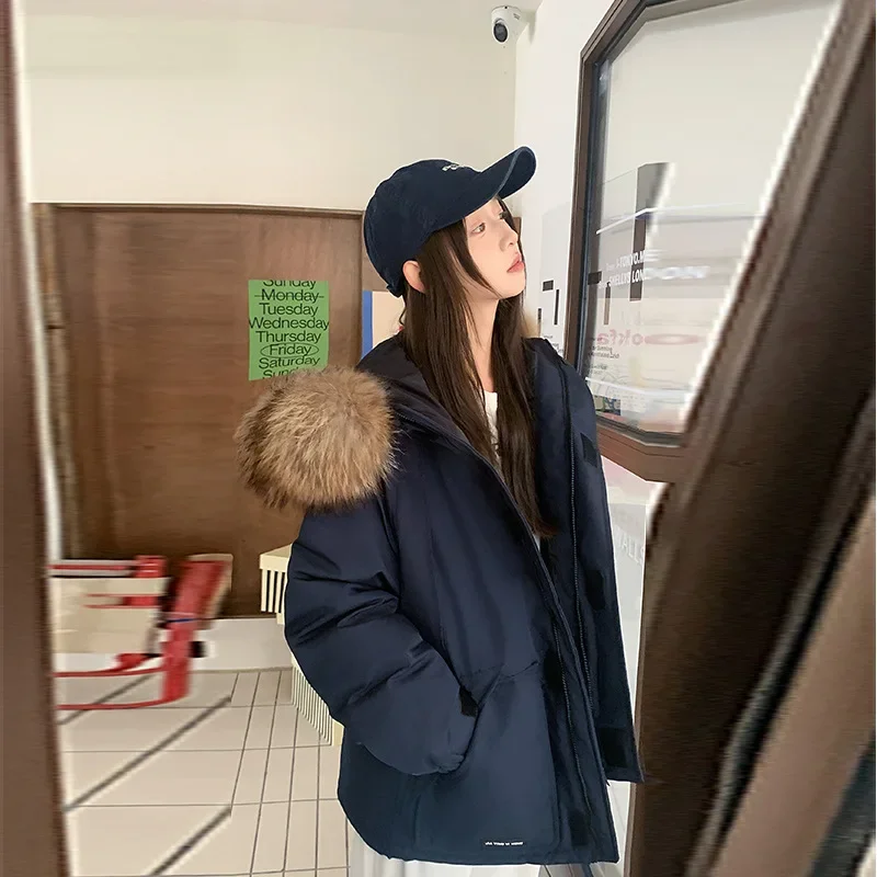 PinkyIsBlack 2024 Korean New Down Cotton-padded Jacket Women's Short Tooling Winter Parkas Jacket Thick Fur Hooded Women Clothes