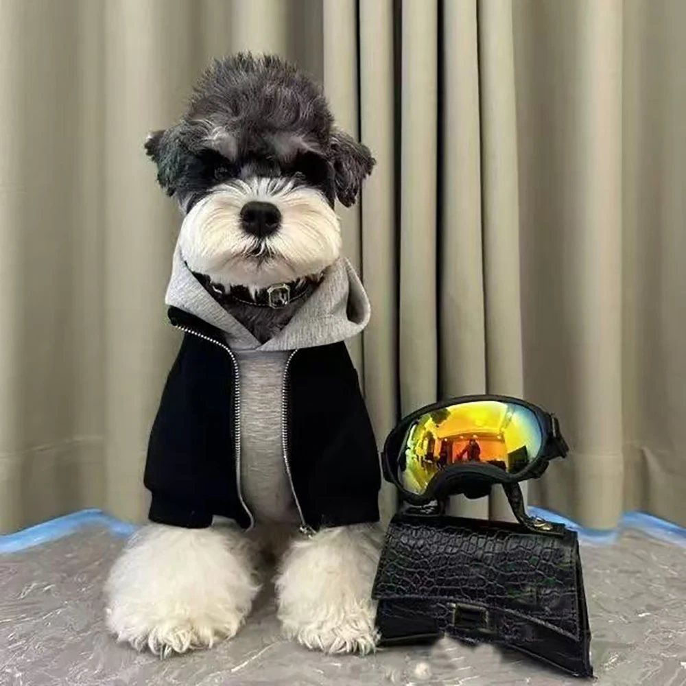 2026 autumn and winter new dog fake two-piece warm hoodie hooded fashionable and simple pet clothes