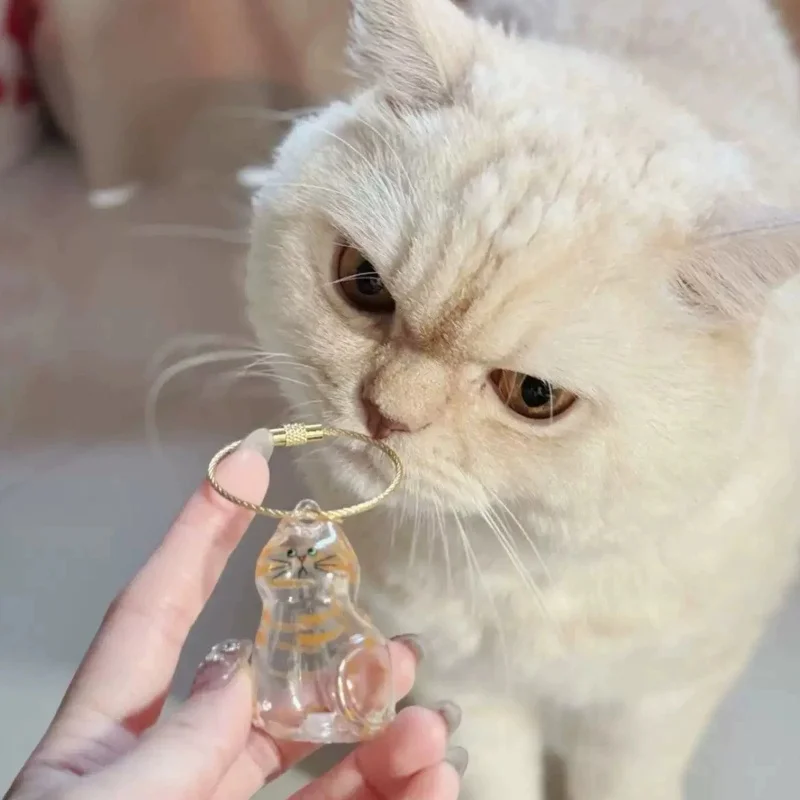 Transparent Cat Hair Storage Box Pet Fur Keepsake Capsule for DIY Crafts Memorial Gift for Pet Lovers Home Display Handmade Deco