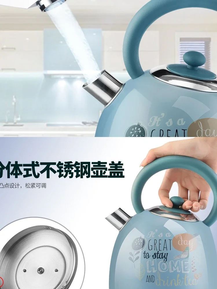 غلاية كهربائية عتيقة لغلي الماء ، لوحة ملونة مقطوعة تلقائية ، درجة غذائية ، فولاذ مقاوم للصدأ ، ، من من من V