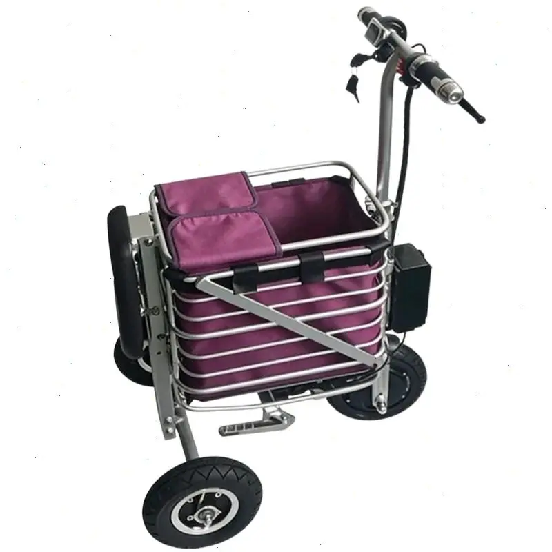 Kleiner 3-Rad-Mobilitätsroller, faltbar, leicht, für Reisen, Eltern-Kind-Elektroroller, 2 Sitze für Erwachsene, Frauen, 250W, 36V, 40KM