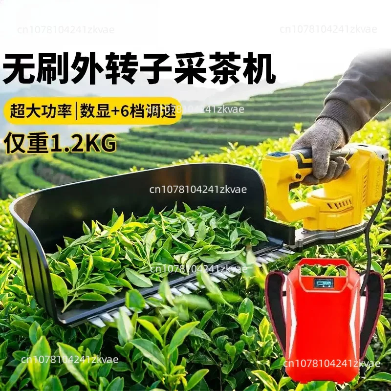 Brushless Electric Tea Picker with 6 Speed Adjustment & 4.5A Battery, Cordless Tea Leaf Harvester