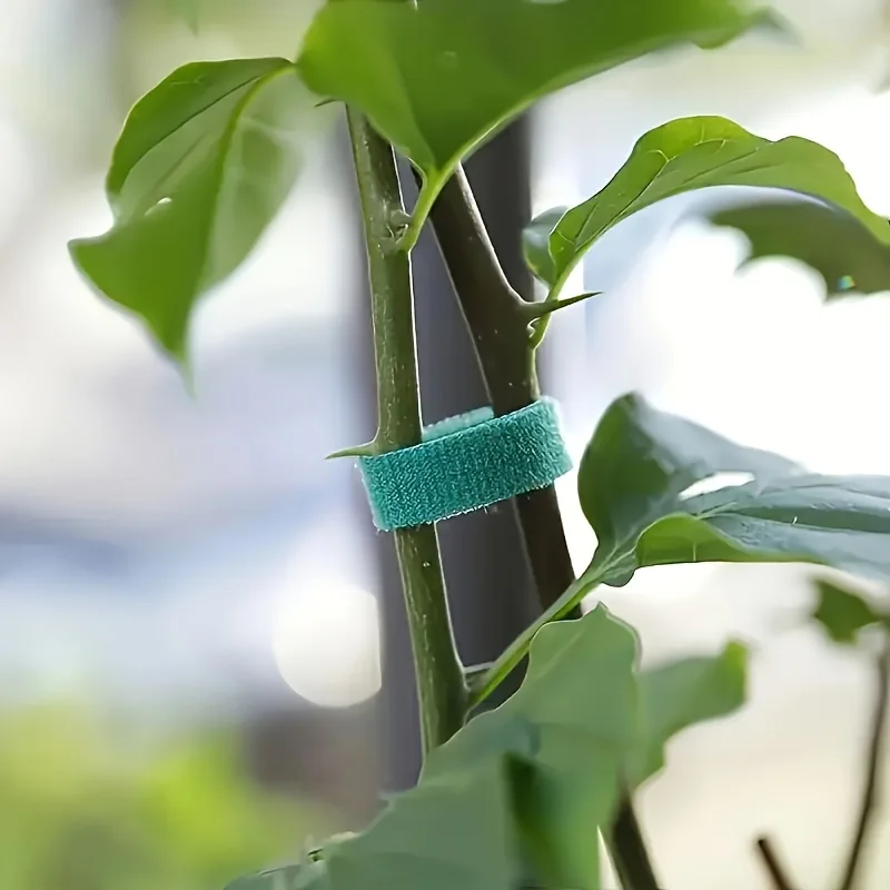 100cm 10 Rolls Self Adhesive Nylon Plant Ties Adjustable Hook Loop Reusable Fastening Tape Garden Twine Band Cable Tie