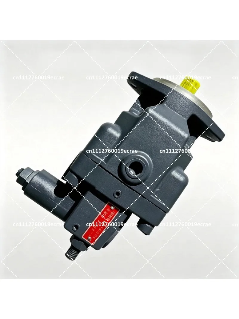 Variable Displacement Axial Piston Pump Counter Rotation Hydraulic Plunger Replacement Part P8VMR-10-CB-10