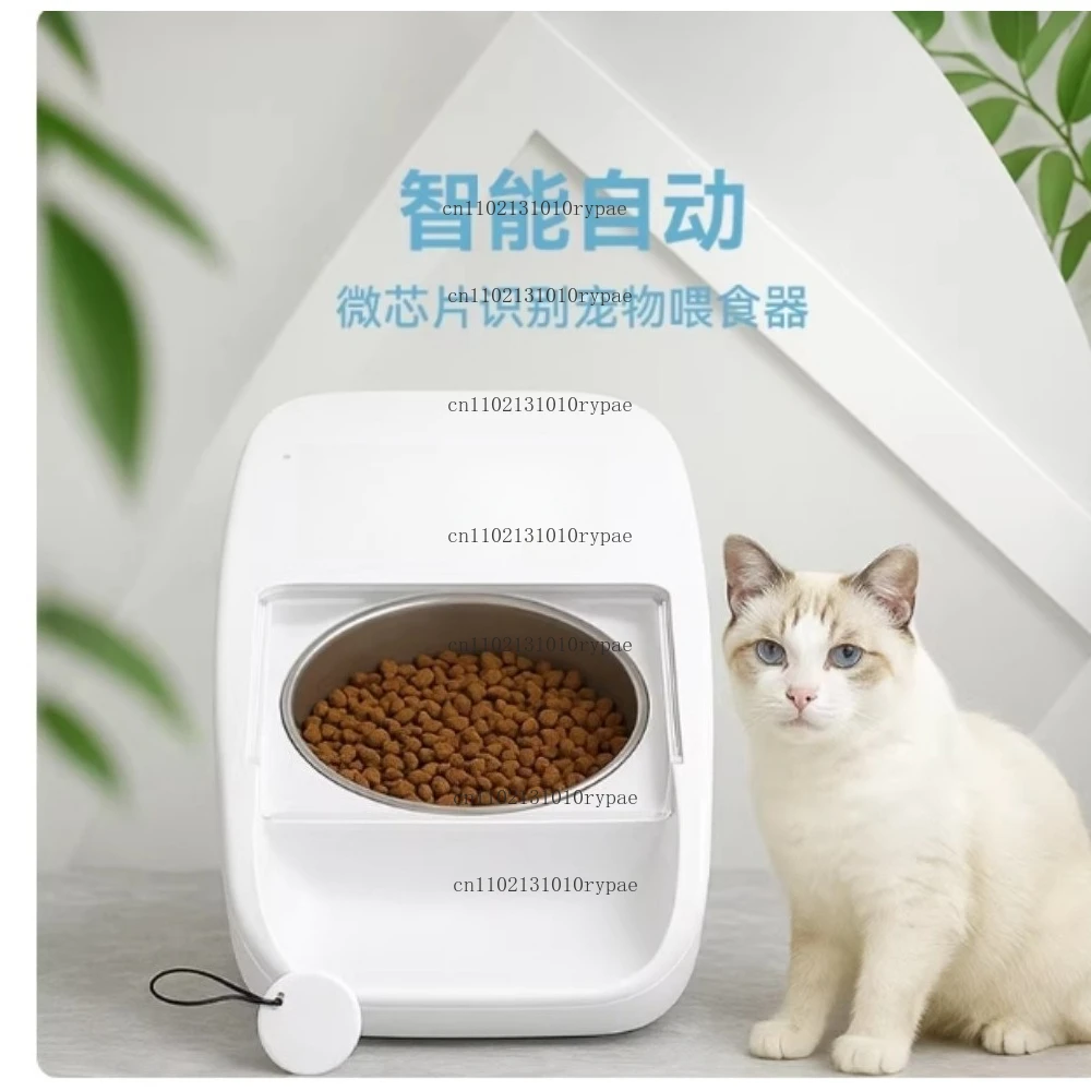 Intelligent chip recognition, induction, timing, automatic feeder, induction switch, lid, wet food freshness