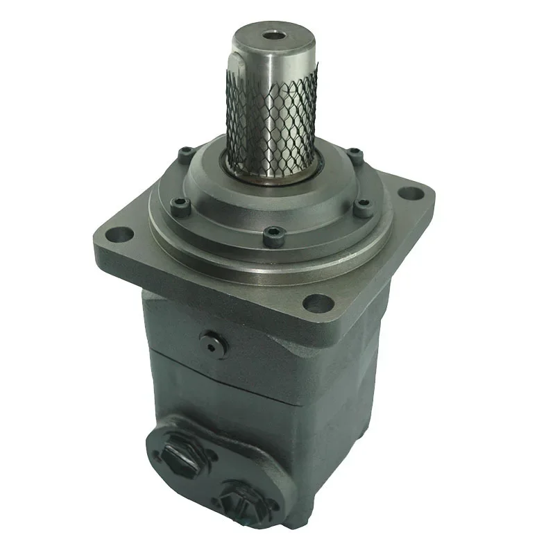 Low-Speed High-Power Hydraulic Motor OMV/Bm6/Bmv315/400/500/630/800/1000 Oil Motor