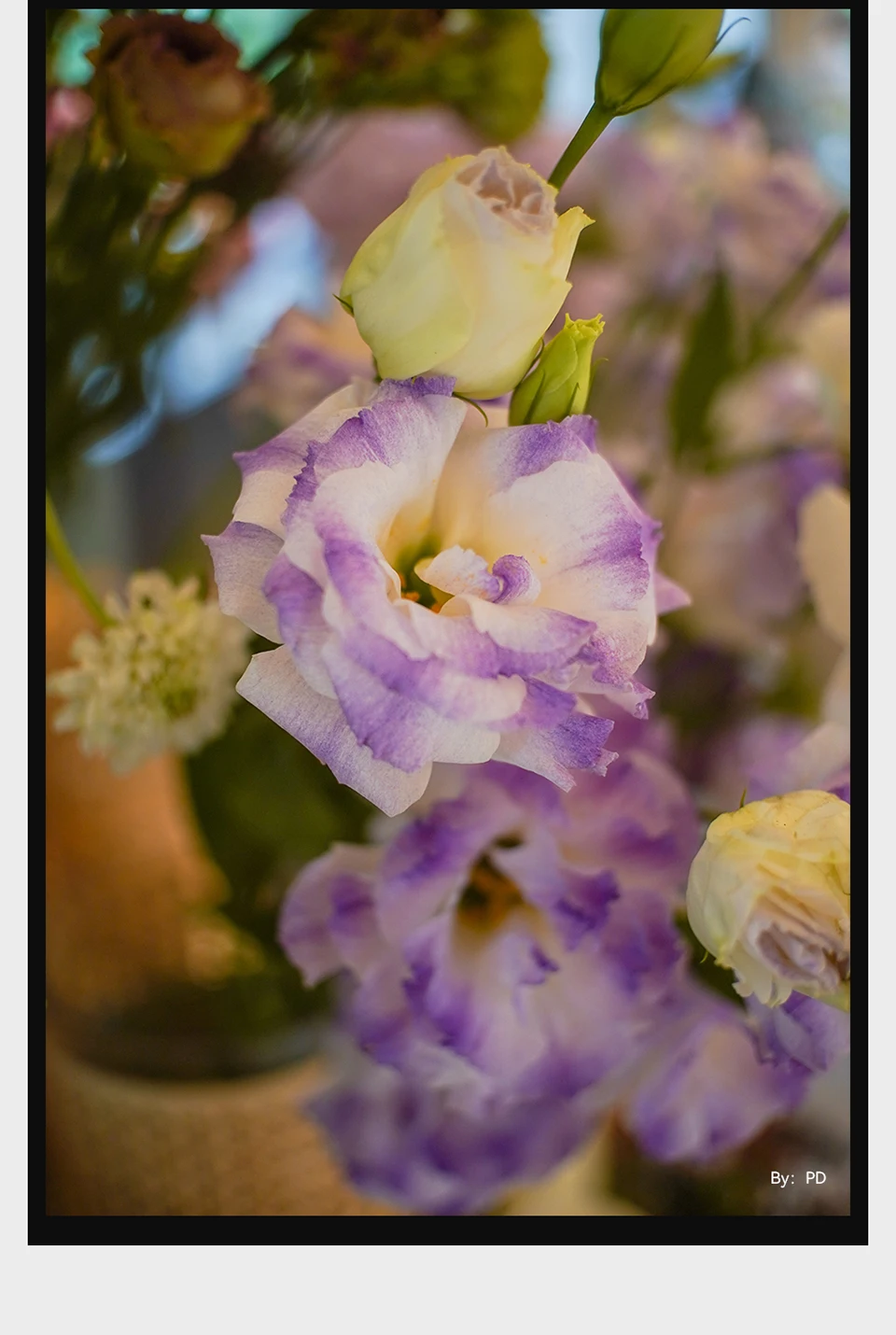 TTARTISAN 25mm F2 APS-C MF Porträt-Fotografie-Kameraobjektiv für Sony A6000 A7RIII Fuji XT30 XT-100 Nikon ZFC Canon RF M43 Mount – Detail 8