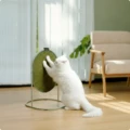 Basil Green