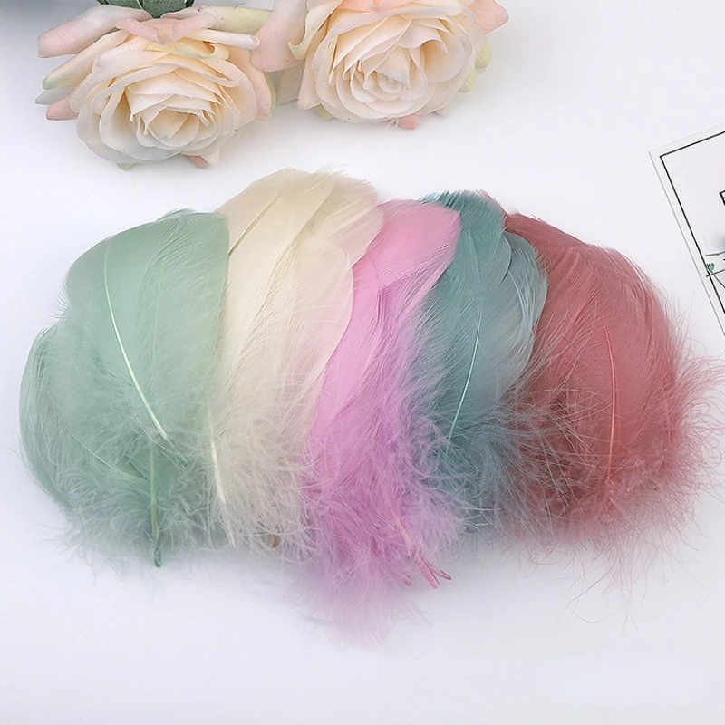 100 Pieces/pack Color Goose Feather & Fur Tote Dresses Feathers Sewing Carnival Accessories Pens Plumes Party Decoration Skirts