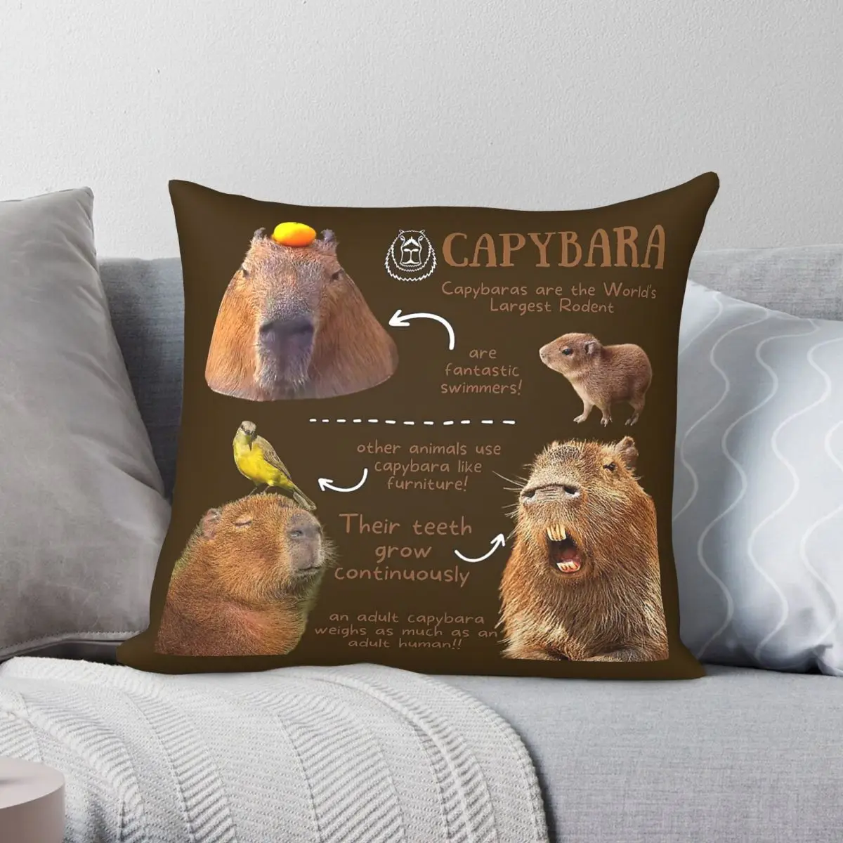 Capybara Fun Facts Square Pillowcase Polyester Linen Velvet Creative Zip Decor Pillow Case Sofa Seater Cushion Wholesale 18