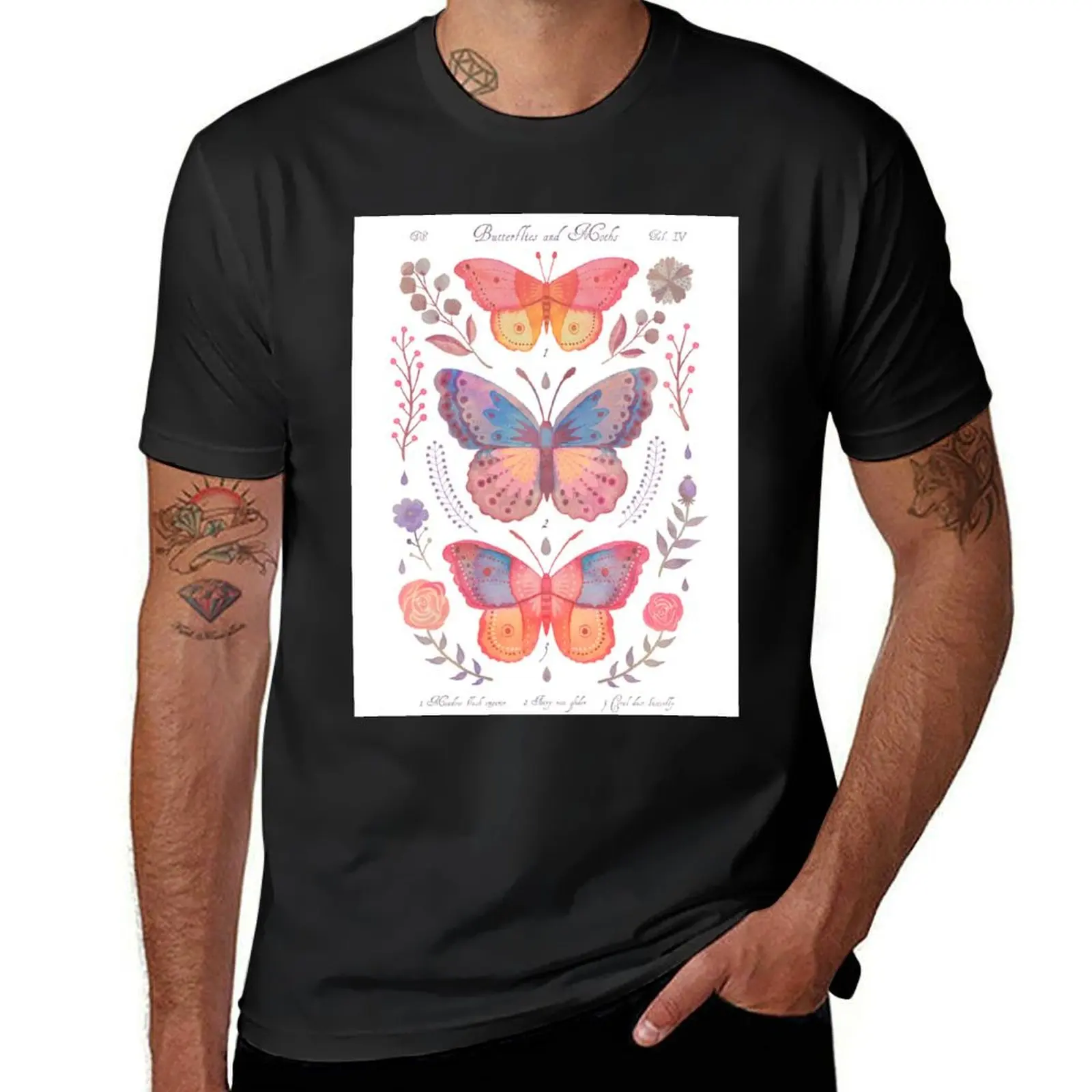 Butterflies and Moths Tab.IV T-Shirt summer clothes quick-drying funny t shirts for men