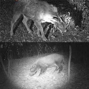 أعلى 10 مبيعات لمسدس الرؤية الليلية - رقم 4