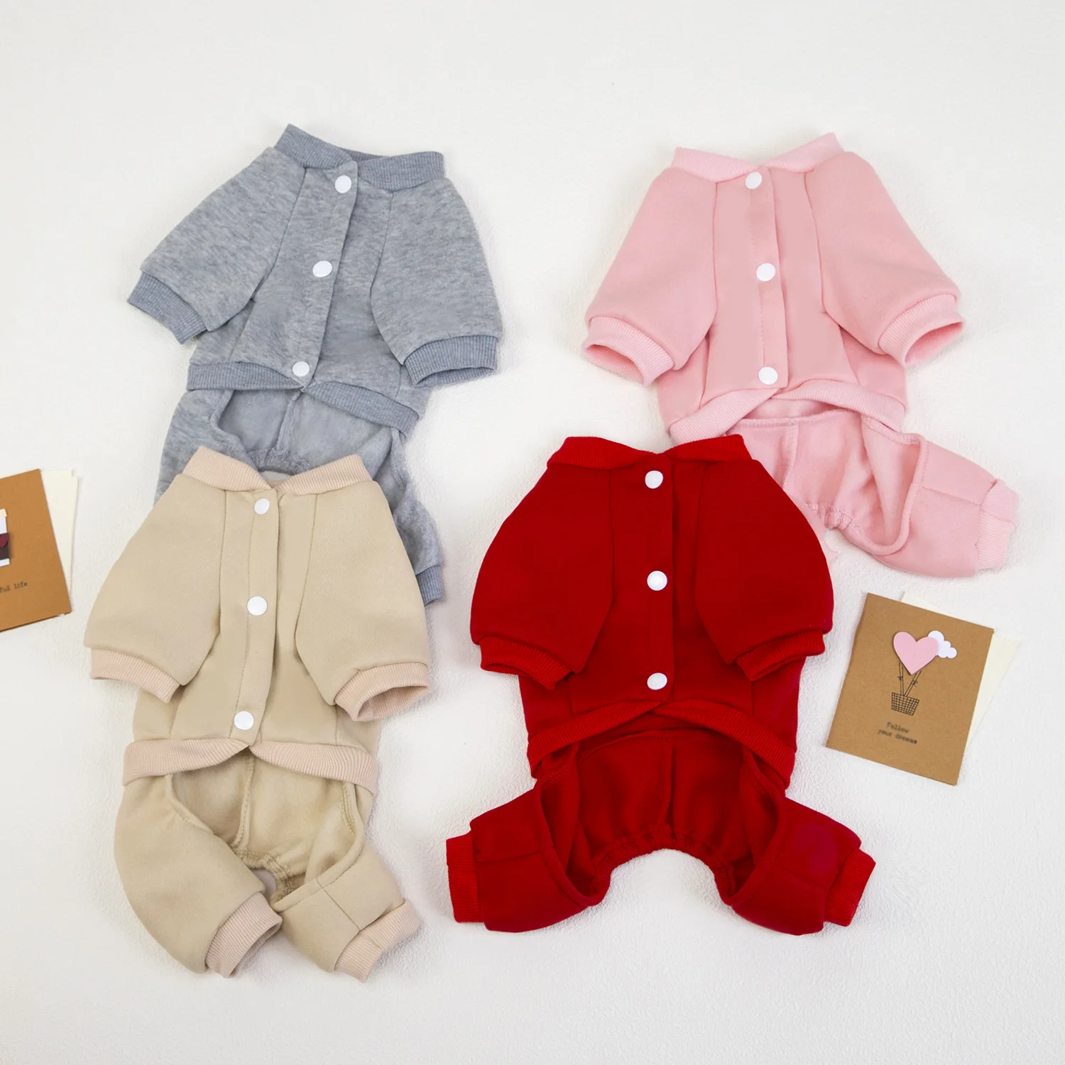 Thumbnail 2 - #37 Pet Apparels Discount Picks