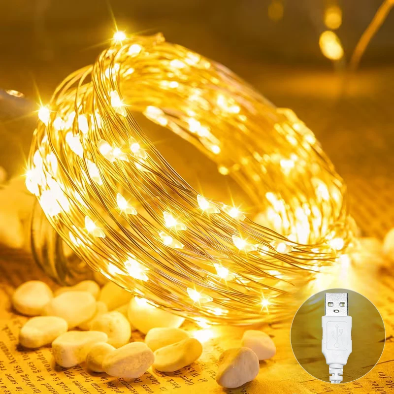 USB Copper Wire Mini LED Lights, Constant on Fairy String Lights for Indoor Room, Mirror, Curtain, Table, Christmas Party Setup