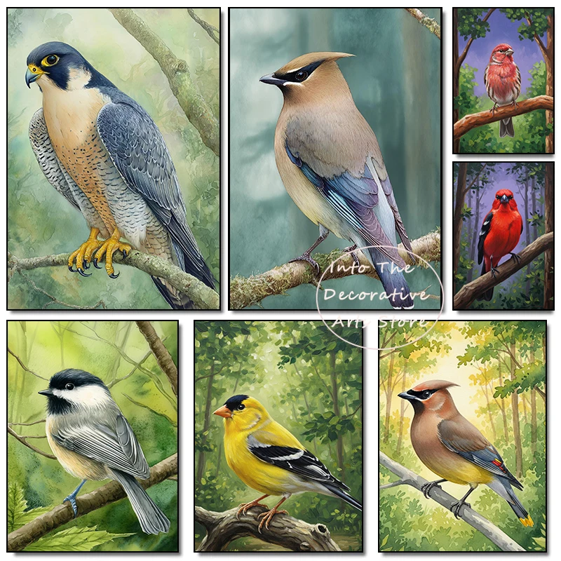 Aesthetic Colorful Forest Bird Poster Falcon Nightingale Canvas Painting Print Bedroom Bird Natural Hobbies Aesthetic Home Decor