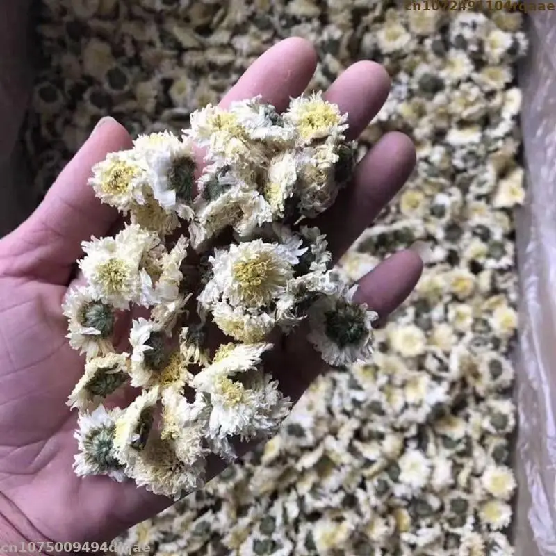 100% Natural Dried Flowers White Chrysanthemum For Aromatherapy Candle Epoxy Resin Jewelry Soap Making Diy Art Craft Accessories