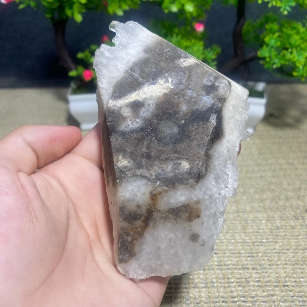 Natural White Clear Quartz Chrysanthemum Crystal Cluster Gemstone Reiki Healing Mineral Sample for Home Decor And Gift