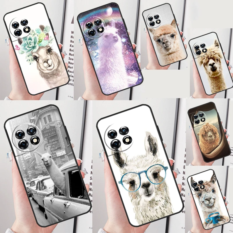 Lama Llama Alpaca C… - image