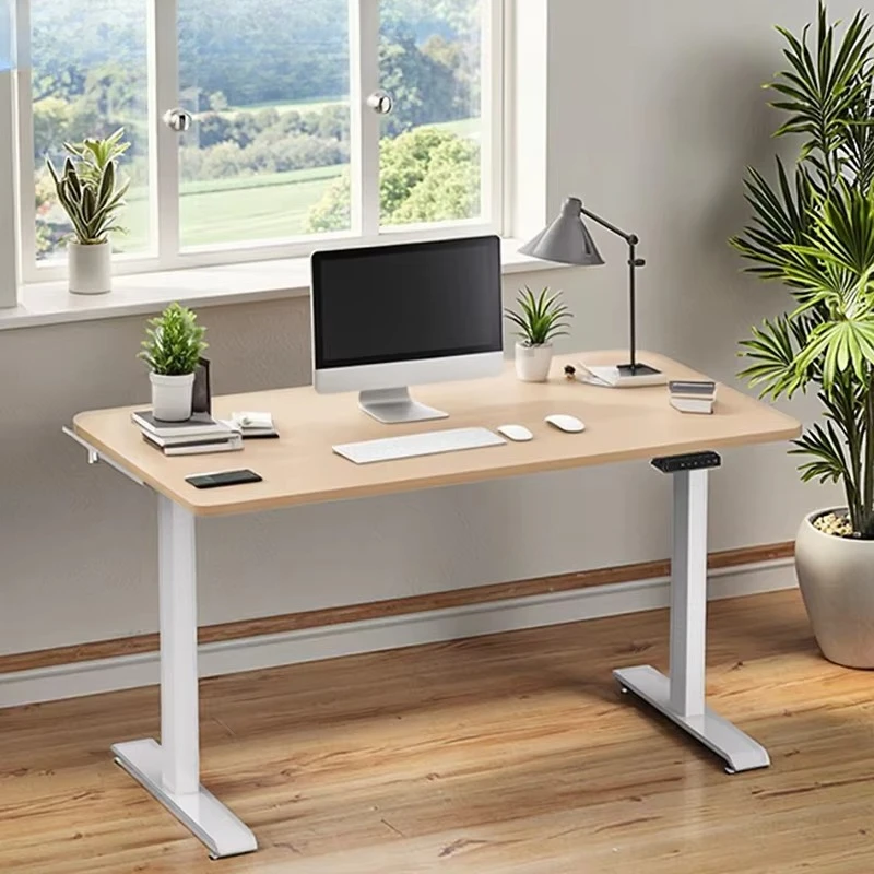 Electric Standing Desk, Modern Design Ergonomic Computer Desk, Variable Height Sit Stand Desk for Home Office, Easy Assembly