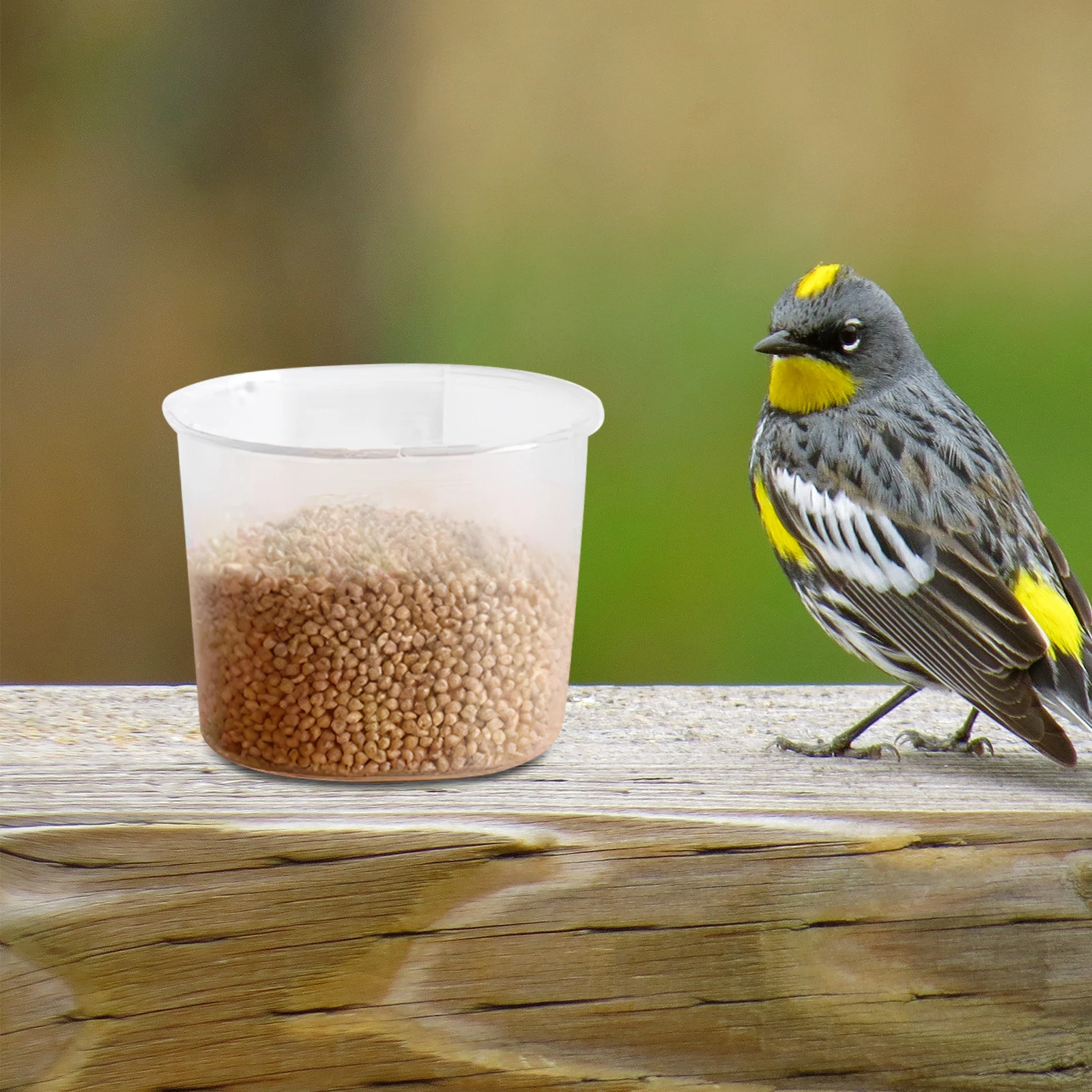 

10Pcs Bird Feeding Cup Plastic Easy Mount Parrot Food Holder Cage Water Feeder Bowl Bird Bowls for Cage Parrot Food Organizer