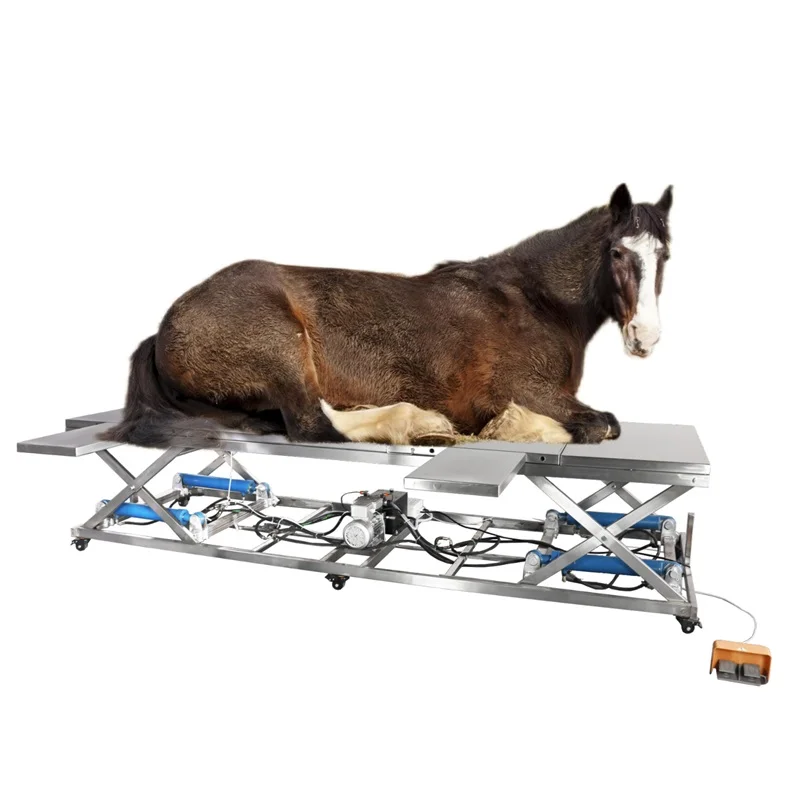 

Big Animals Surgery Tables Electric Veterinary Surgery Treatment Table Electric-hydraulic Veterinary Operating Table For Equine