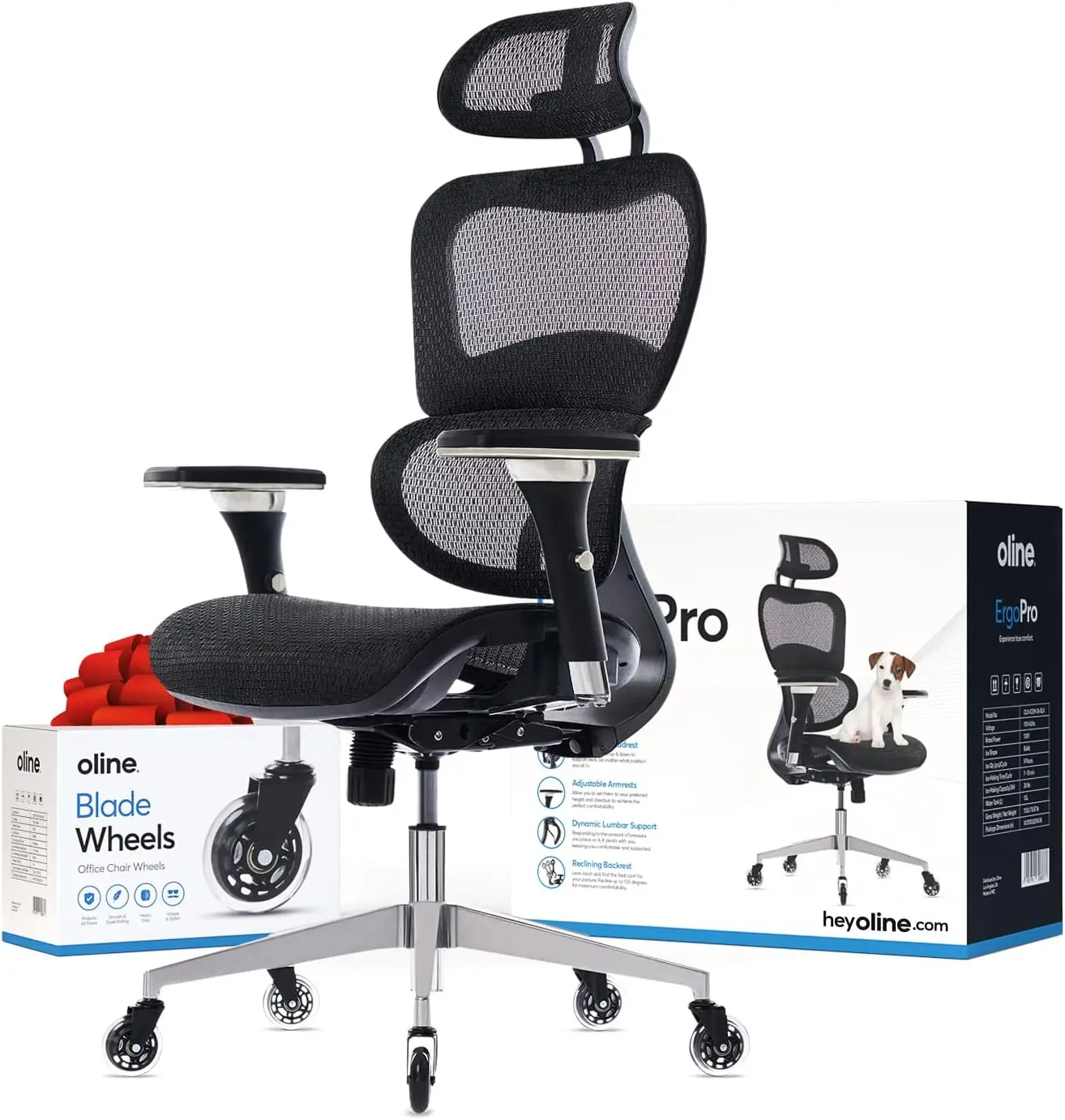 

ErgoPro Ergonomic Office Chair, Rolling Desk Chair with 4D Adjustable Armrest, 3D Lumbar Support, Blade Wheels, Mesh Computer Ga
