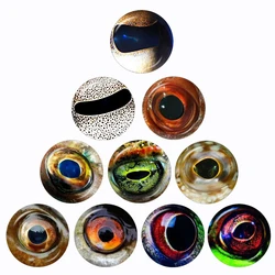 Glass Eyes Cabochons Round 10pcs 12mm/16mm/18mm/20mm/25mm/30mm Octopus Eyes Photo Glass Cabochon Demo Flat Back Making