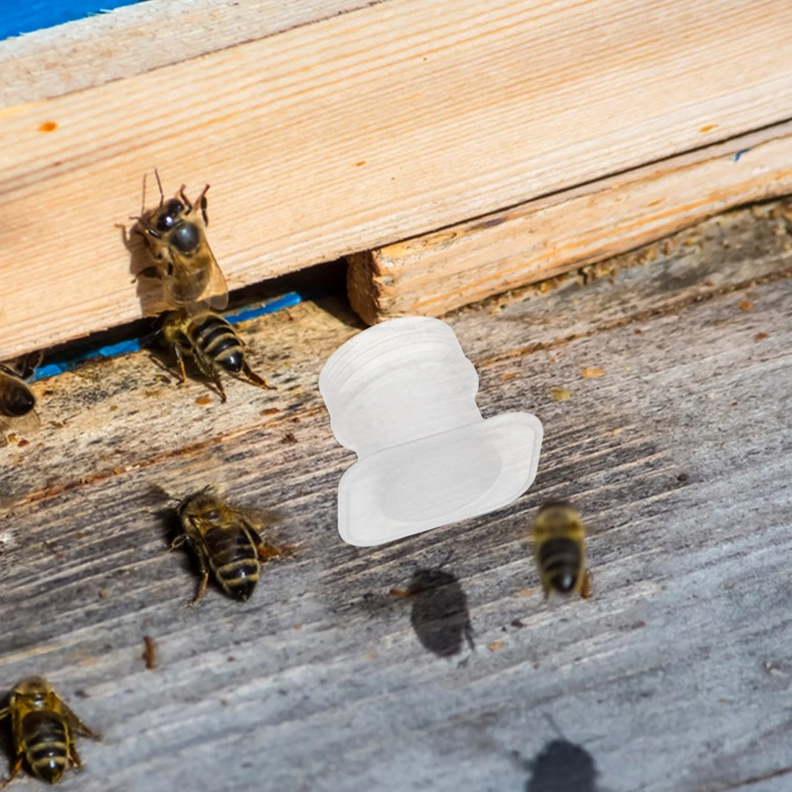 

20Pcs Bee Watering Feeder Cups Reusable Plastic Dispenser 3cm Opening Beekeeping Hive Feeding Tools Apiculture Equipment