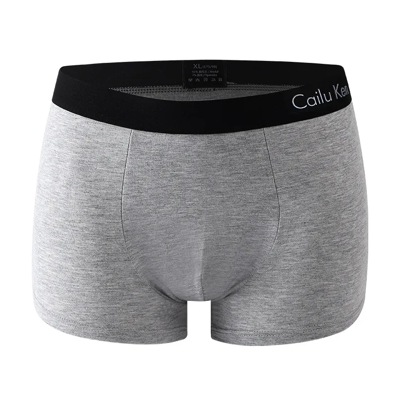 2024 New 5pcs Modal Cotton Men Underwear Antibacterial Breathable Comfortable Male Flat Corner Underwears