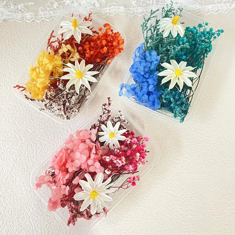 1 Box of Dried Flower Ancient Style Fan B Material Bag Children\'s Handmade Eternal Flower Material Frame Dried Flower Material