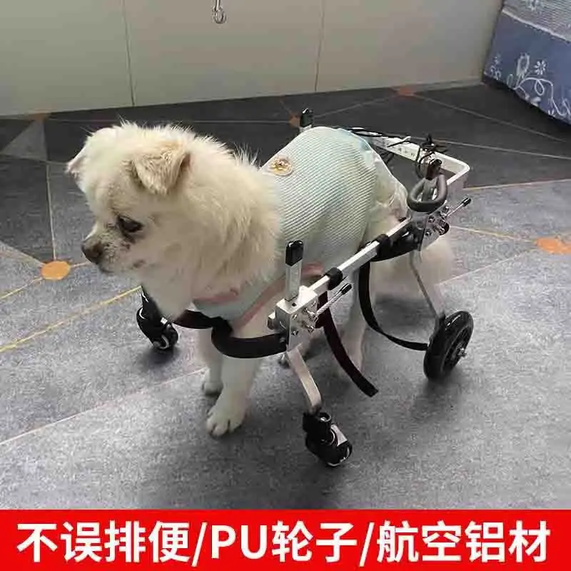 

Disabled dog wheelchair hind limb pet moped elderly dog paralyzed forelimb assist transportation hind legs cat assist driving