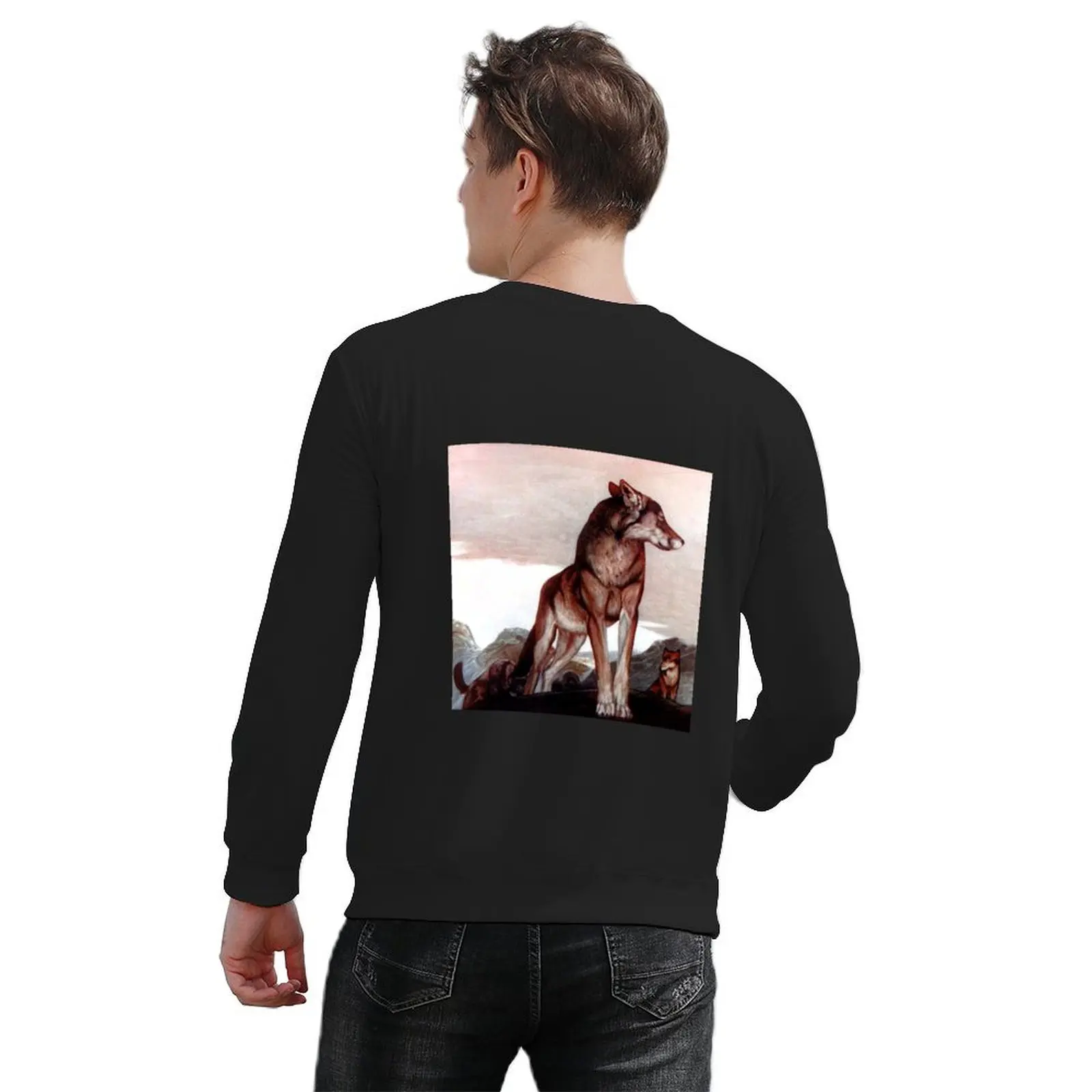 كتاب الغابة - Akela Lone Wolf - إدوارد يوليوس ديتمولد، موريس ديتمولد بلوفر رجالي ملابس جديدة هوديس وبلوزات