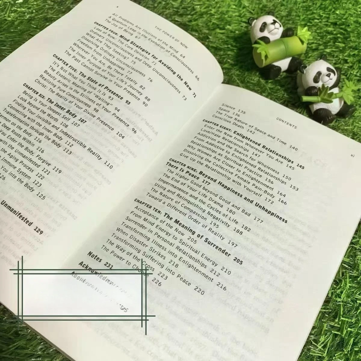 قوة اللحظة هي Eckhart Tolle وZhang Defen. Libros الكتب الإنجليزية كتب فلسفيا كتاب فلسفة كتاب كتاب Libro كتاب #2