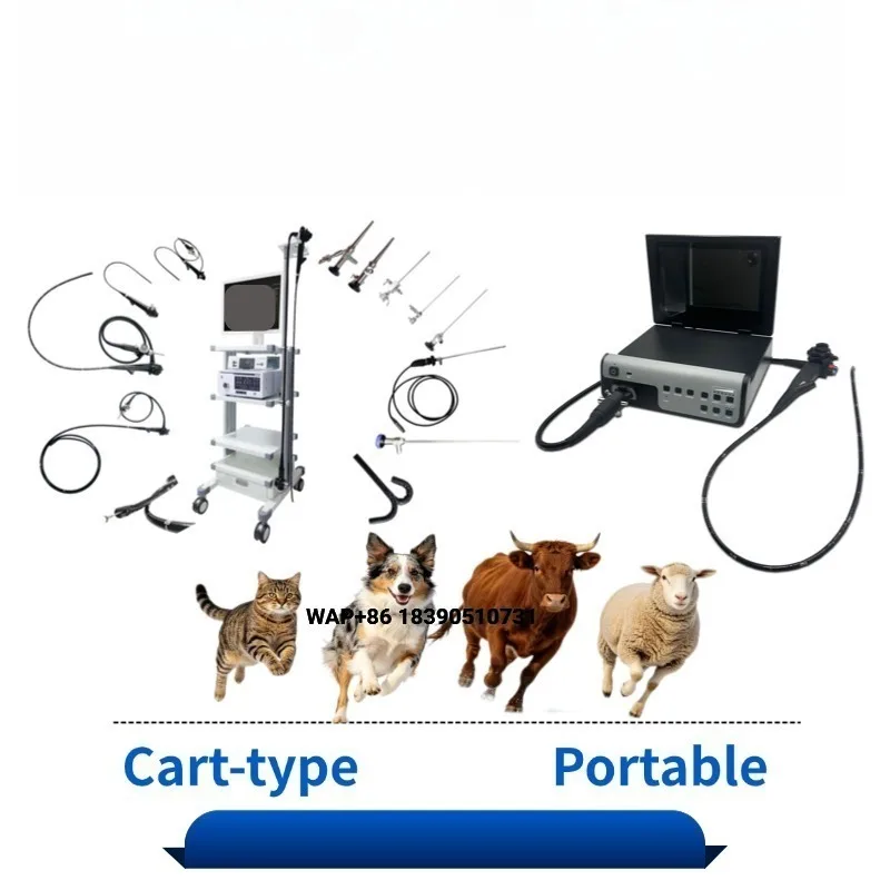 Veterinary Endoscope System, Veterinary Endoscope System with Cold Light Source