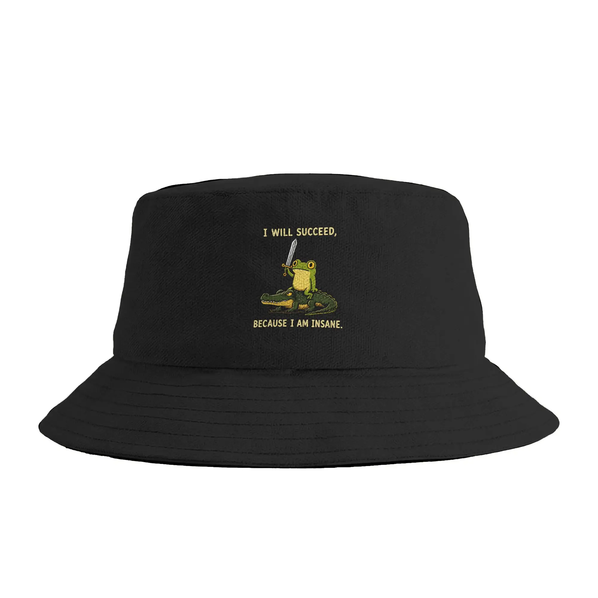I Will Succeed Because I Am Funny Frog Meme Bucket Hat  Streetwear Fisherman Caps Personality Hunting Visor Hats For Unisex Cap