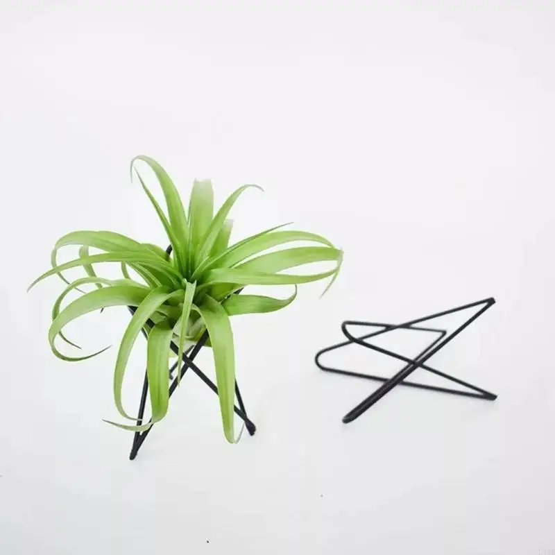 L4MB Air Plant Holder Metal Flower Pot Stand Geometric Iron Tillandsia Display Art