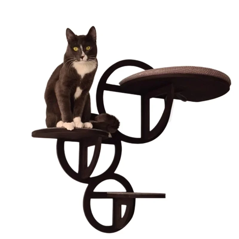 

It does not occupy a small apartment, cat observation deck, multi-cat family, universal in all seasons