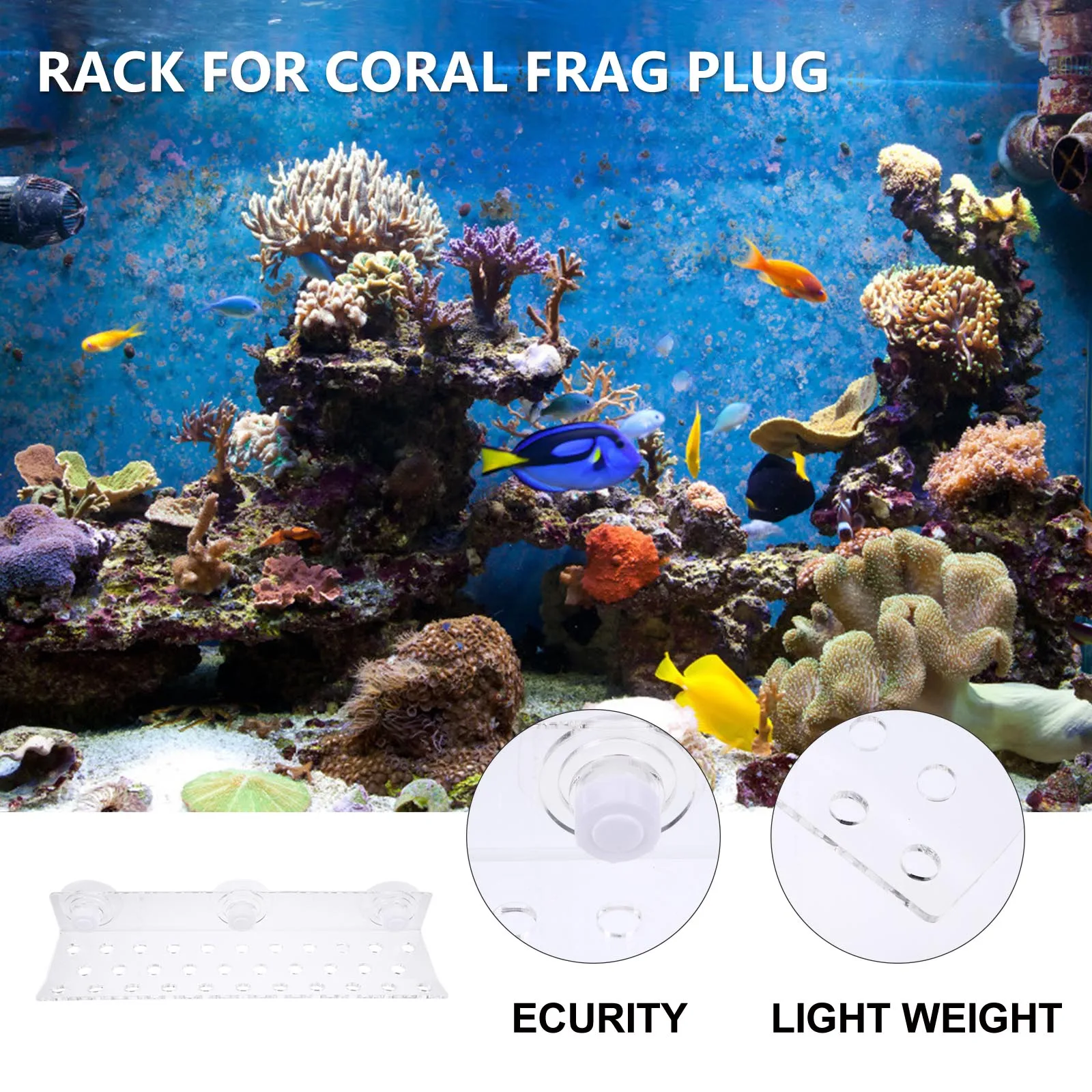 

32 Hole Coral Bracket Acrylic Aquarium Support Holder Fish Tank St Decor Accessories Rack Pet Supplies
