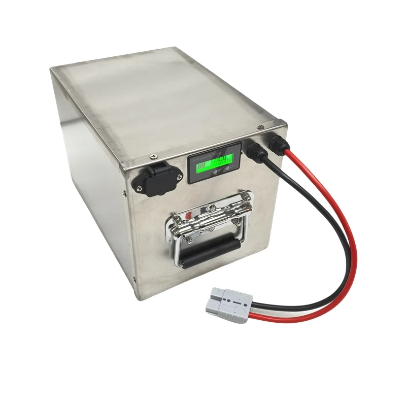 72V 35Ah 45Ah 65Ah 80Ah 100Ah Lithium Ion Deep Cycles Battery for 1000W 2000W 3500W AGV Pedal Car Rickshaw Skateboard