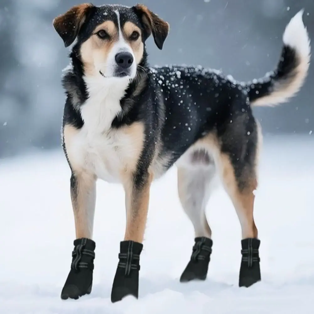 

Комплект из 4 светоотражающих водонепроницаемых ботинок для собак: теплые, дышащие, противоскользящие, двухслойные, регулируемые, для восстановления после травм