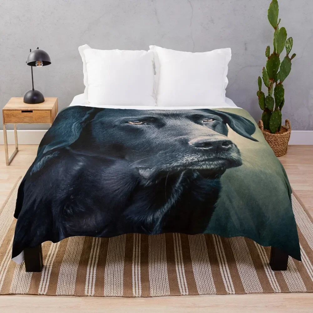 

Black Velvet - Labrador Throw Blanket For Sofa Thin warm winter for babies Picnic Blankets